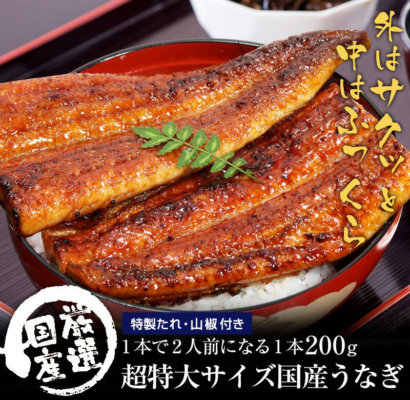 超特大うなぎ蒲焼き 200g×5本[ウナギ 鰻 国産 贈り物] | うなぎ屋かわすい 川口水産