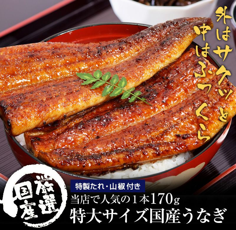 特大国産うなぎ蒲焼き 170g 1本 ウナギ 鰻 レビュー うなぎ屋かわすい 川口水産