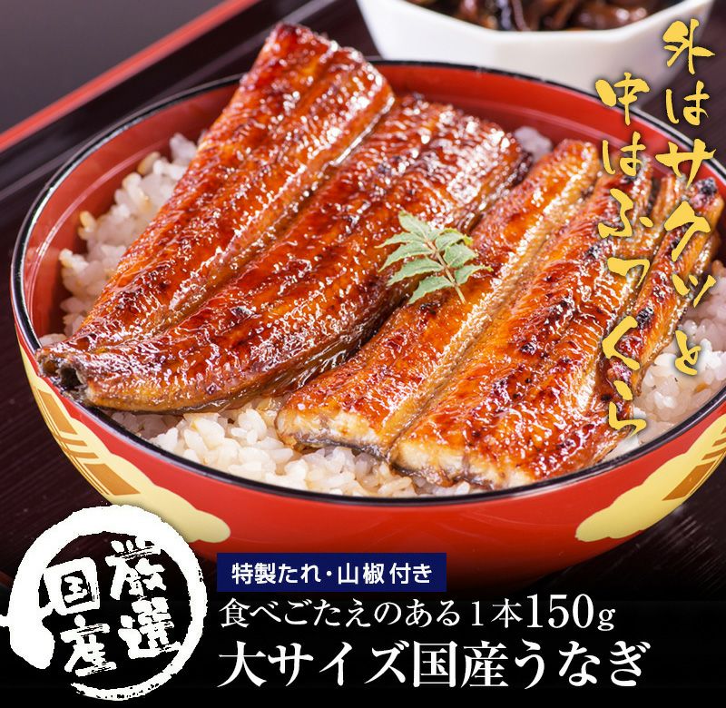 国産大サイズうなぎ蒲焼き 150g 2本 送料無料 鰻 ギフト レビュー うなぎ屋かわすい 川口水産