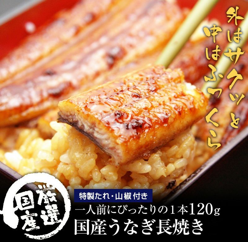 国産うなぎ蒲焼き 120g×2本[送料無料 鰻 ギフト] | うなぎ屋かわすい 川口水産