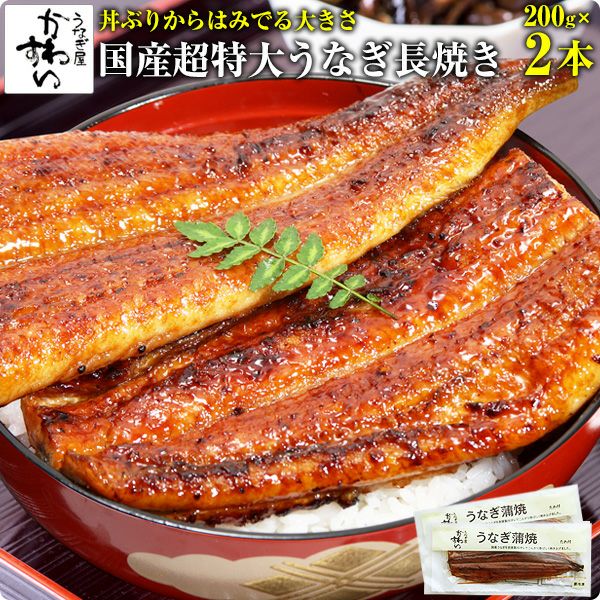 超特大うなぎ蒲焼き 0g 3本 ウナギ 鰻 国産 贈り物 うなぎ屋かわすい 川口水産