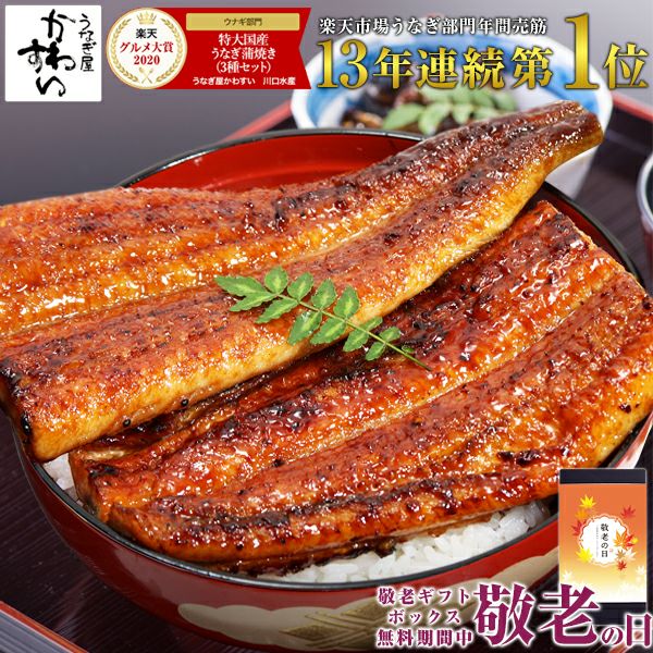 天然うなぎ開き　2本　100g1800円！ 天然うなぎ 4匹 1,2キロ以上 ウナギ 鰻
