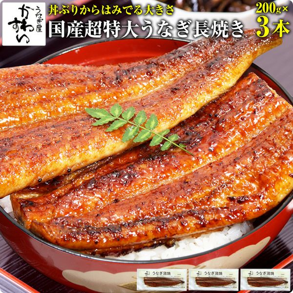 超特大うなぎ蒲焼き 200g×3本[ウナギ 鰻 国産 贈り物] | うなぎ屋