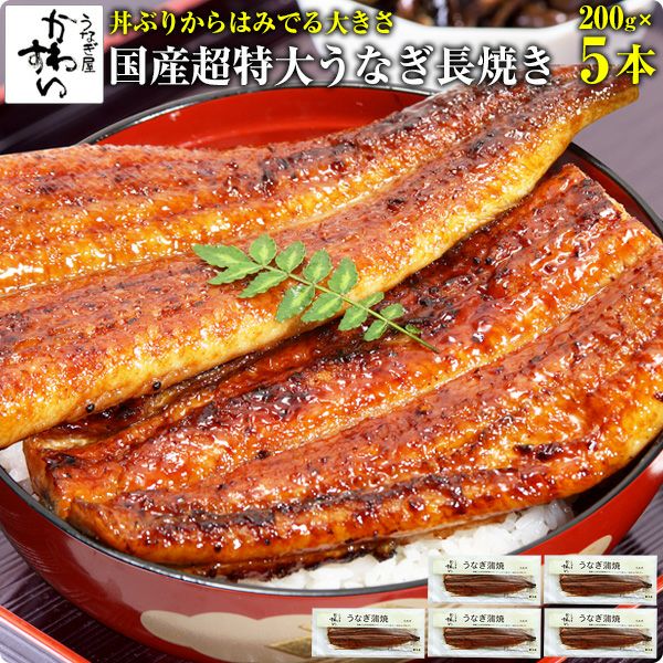 超特大うなぎ蒲焼き 200g×5本[ウナギ 鰻 国産 贈り物] | うなぎ屋