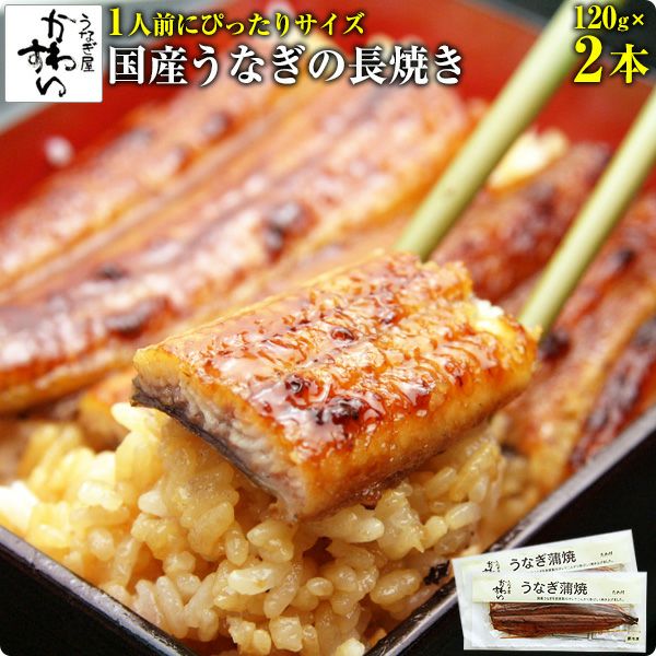 国産うなぎ蒲焼き 120g×2本[送料無料 鰻 ギフト] | うなぎ屋かわすい