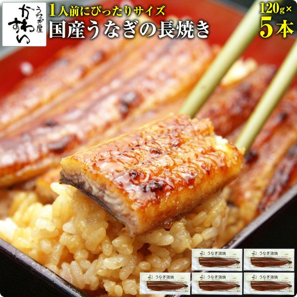 国産うなぎ蒲焼き 120g×5本[送料無料 鰻 ギフト] | うなぎ屋かわすい