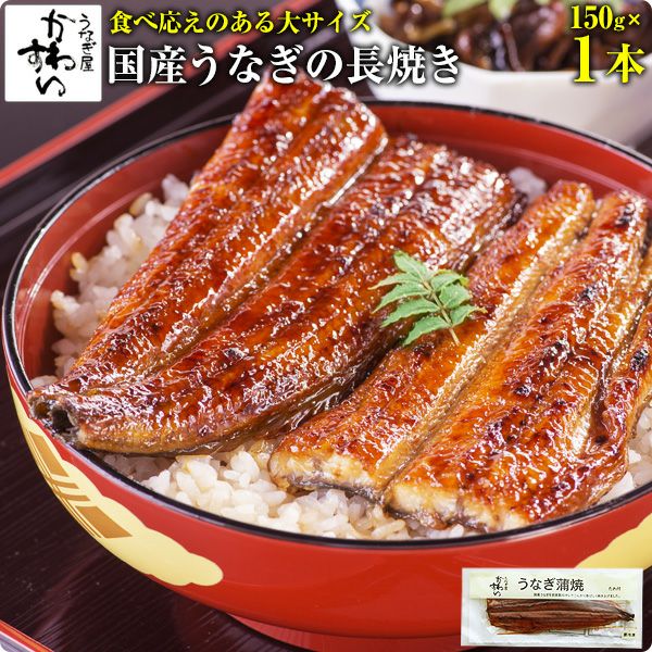 国産大サイズうなぎ蒲焼き 150g 1本 鰻 ウナギ うなぎ屋かわすい 川口水産