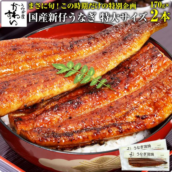 国産うなぎ蒲焼きカット大盛り 500gセット 山椒別売り | うなぎ屋かわすい 川口水産