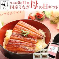 【今年は5月12日 母の日ギフト】国産うなぎ蒲焼きカット4枚…