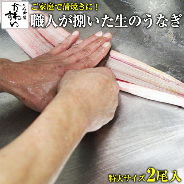 送料無料 捌いた国産うなぎ 特大サイズ3本 3p 1kg 腹開き q ウナギ 鰻 生 調理済み ひらき 業務用 うなぎ屋かわすい 川口水産