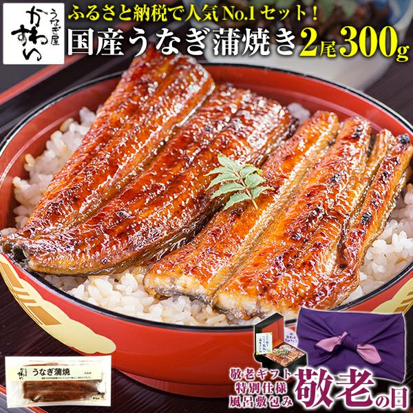 国産うなぎ長焼き20枚 一色産うなぎ 無頭 長蒲焼2尾(240g)・I048-13-1 | 愛知県西尾市