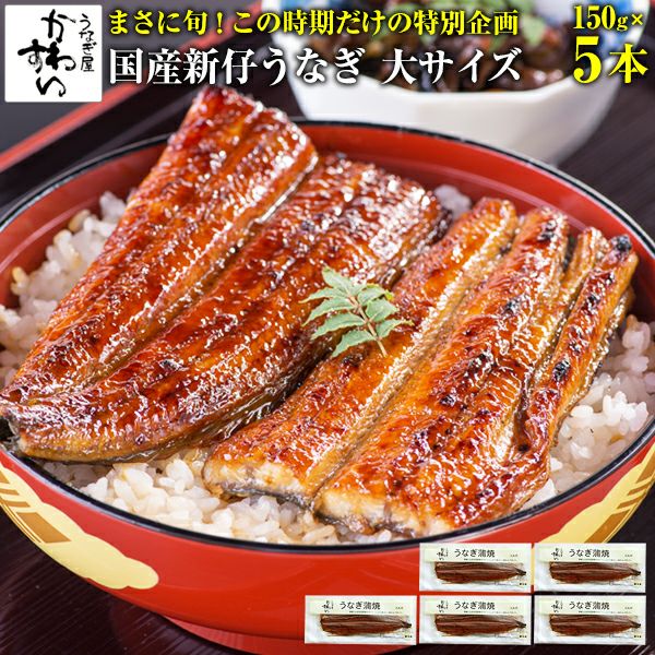 旬の味！秋の味覚]国産大サイズ新仔うなぎ 150g×5本 | うなぎ屋